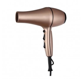 Albi Hair Dryer R&j Tourmalina Champagne (3700c)