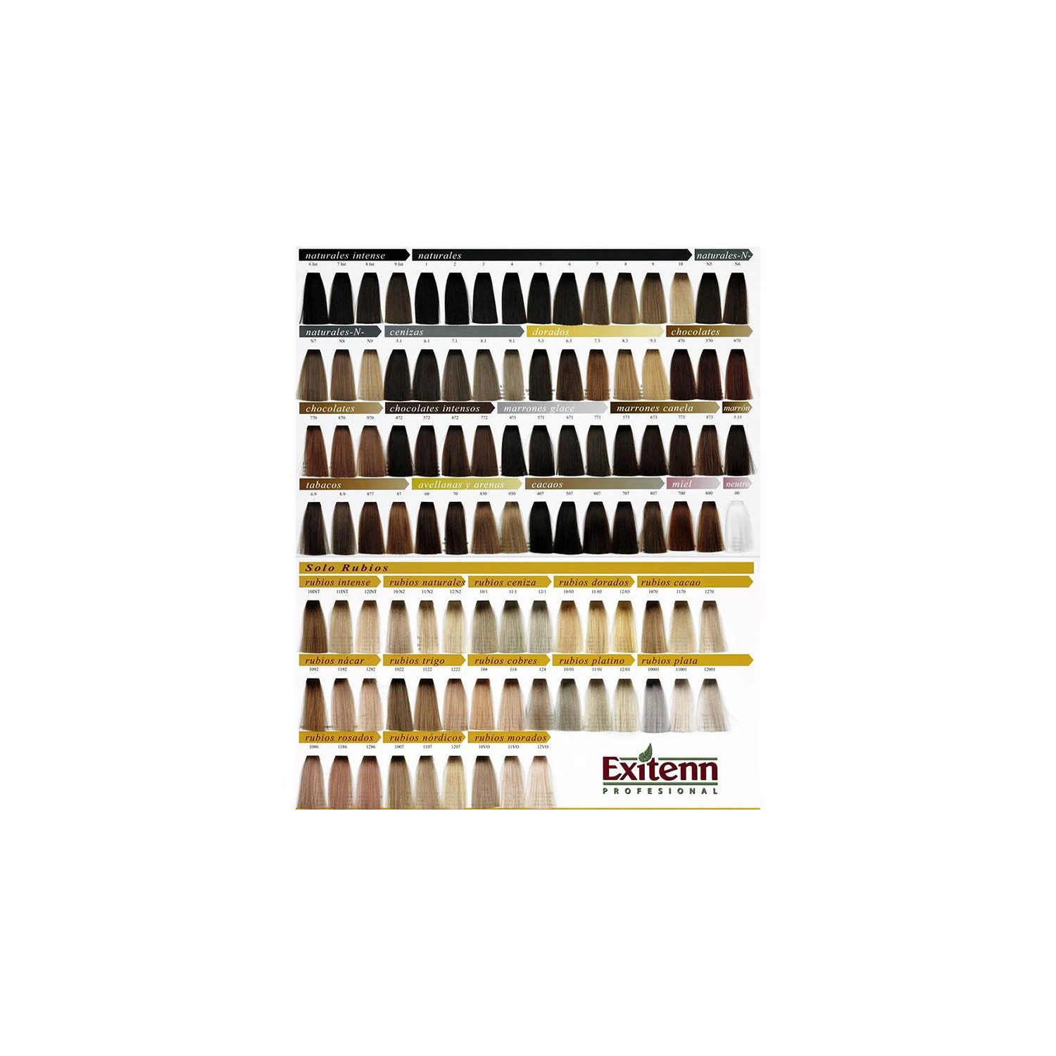 Exitenn Colore Creme 60ml, Colore 10/0.0nn2