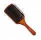 Eurostil Brosse Pua Plastique Rectangulaire Petit (01994)