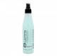 Salerm Brushing Termo Actif 250 ml