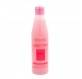 Salerm 21 Purifying Champú 250 Ml