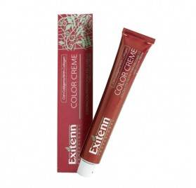 Exitenn Color Creme 60ml, Cor 11/0 03