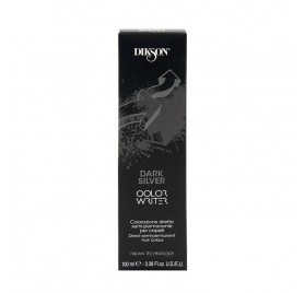 Dikson Colore Writer Dark Silver 100 ml