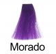 Nirvel Nutre Color Morado 200 ml