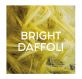 Directions Color Semi Permanent Bright Daffodil