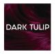 Directions Couleur Semi Permanent Tulip Dark