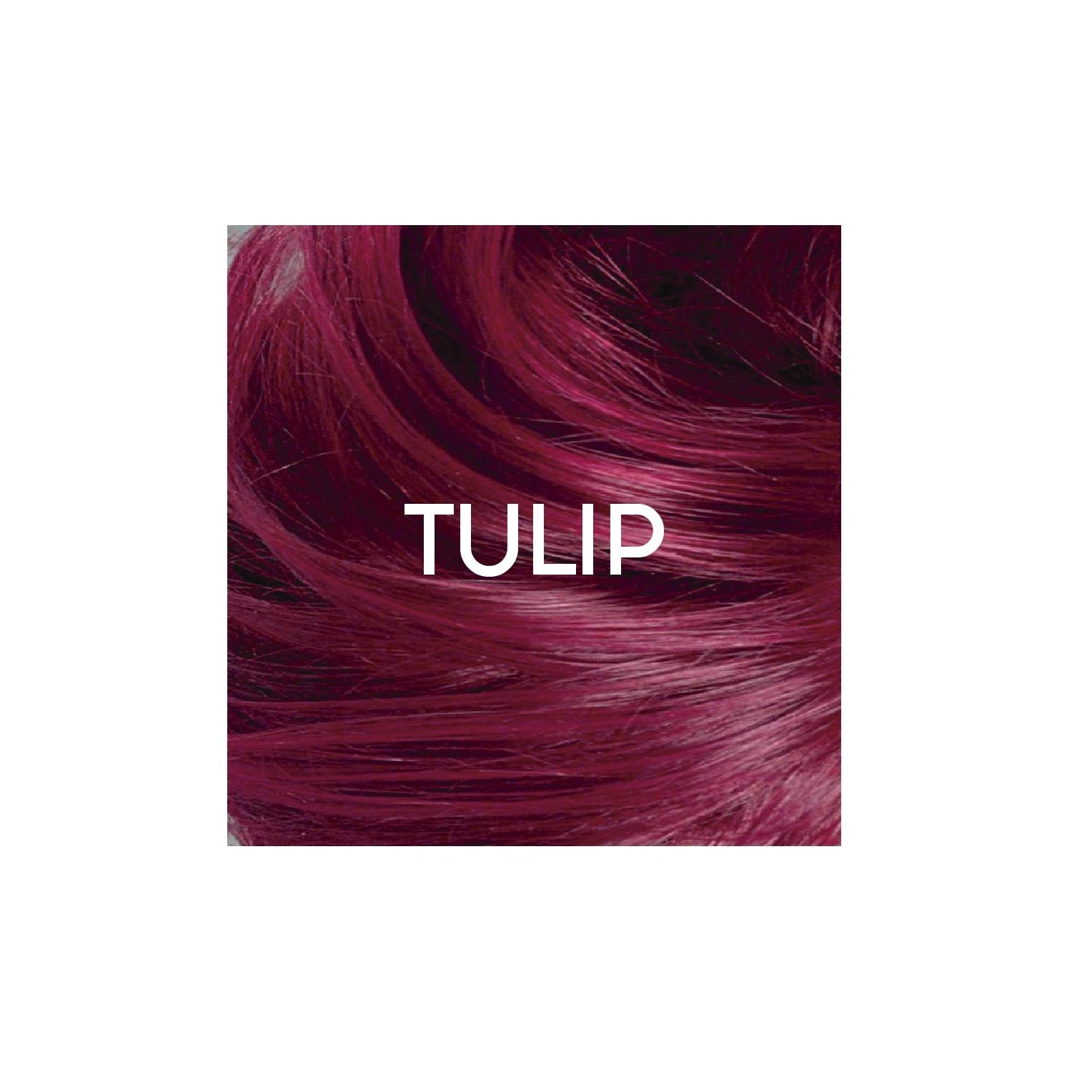 Directions Couleur Semi Permanent Tulip