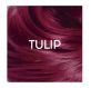 Directions Couleur Semi Permanent Tulip