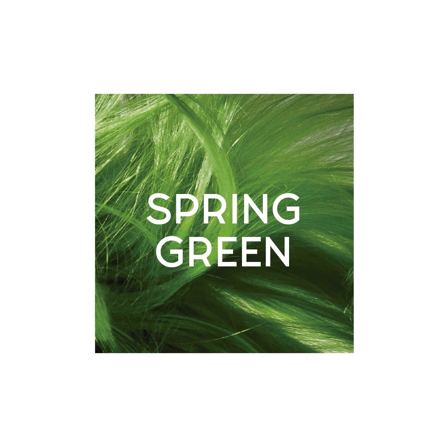 Directions Couleur Semi Permanent Spring Green