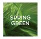 Directions Couleur Semi Permanent Spring Green