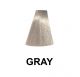 Exitenn Fantasy Color Gris 100ml