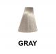 Exitenn Fantasy Color Gris 100ml