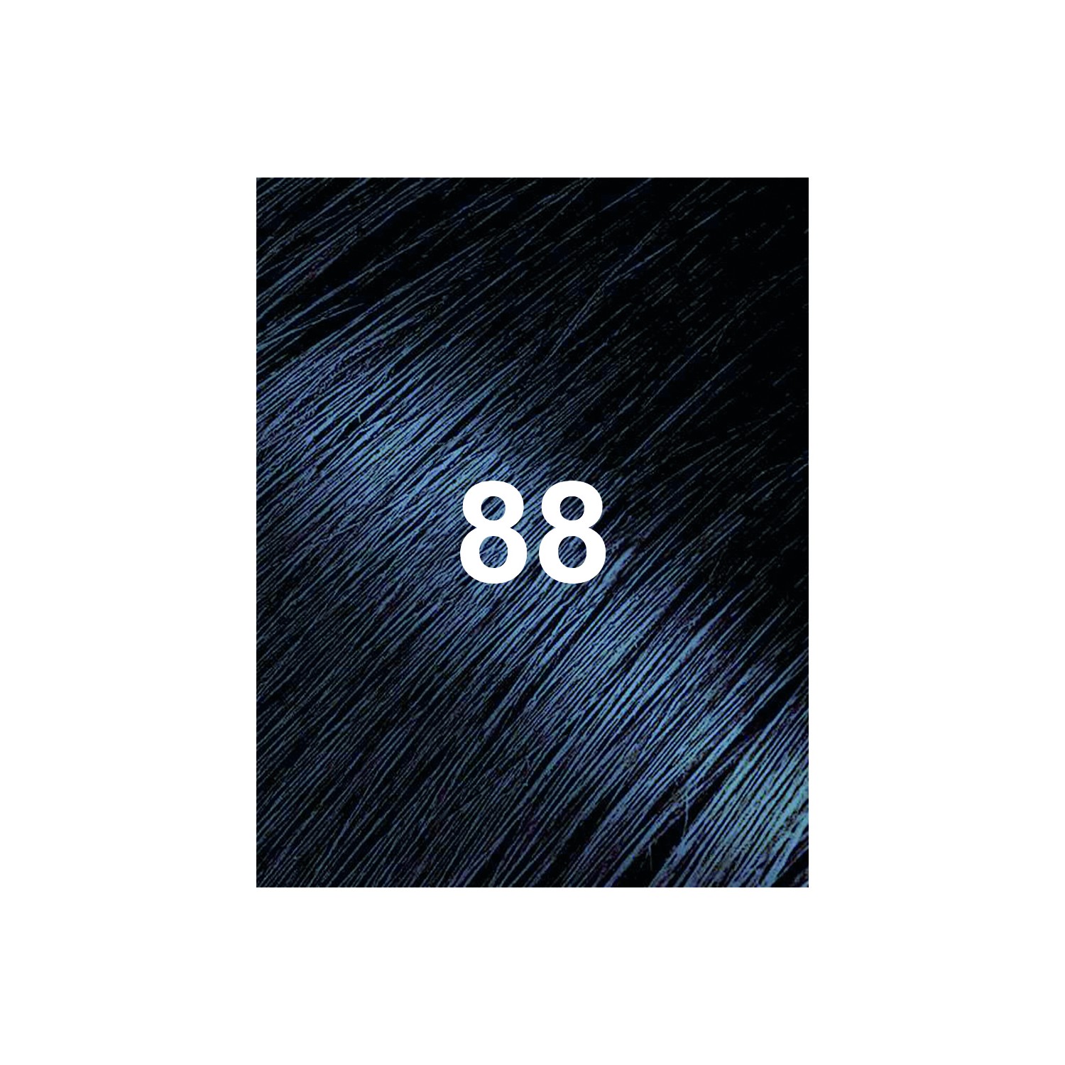 Bigen 88 Negro Azulado 6 gr