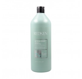Shampoo Redken Amino Menta 1000ml