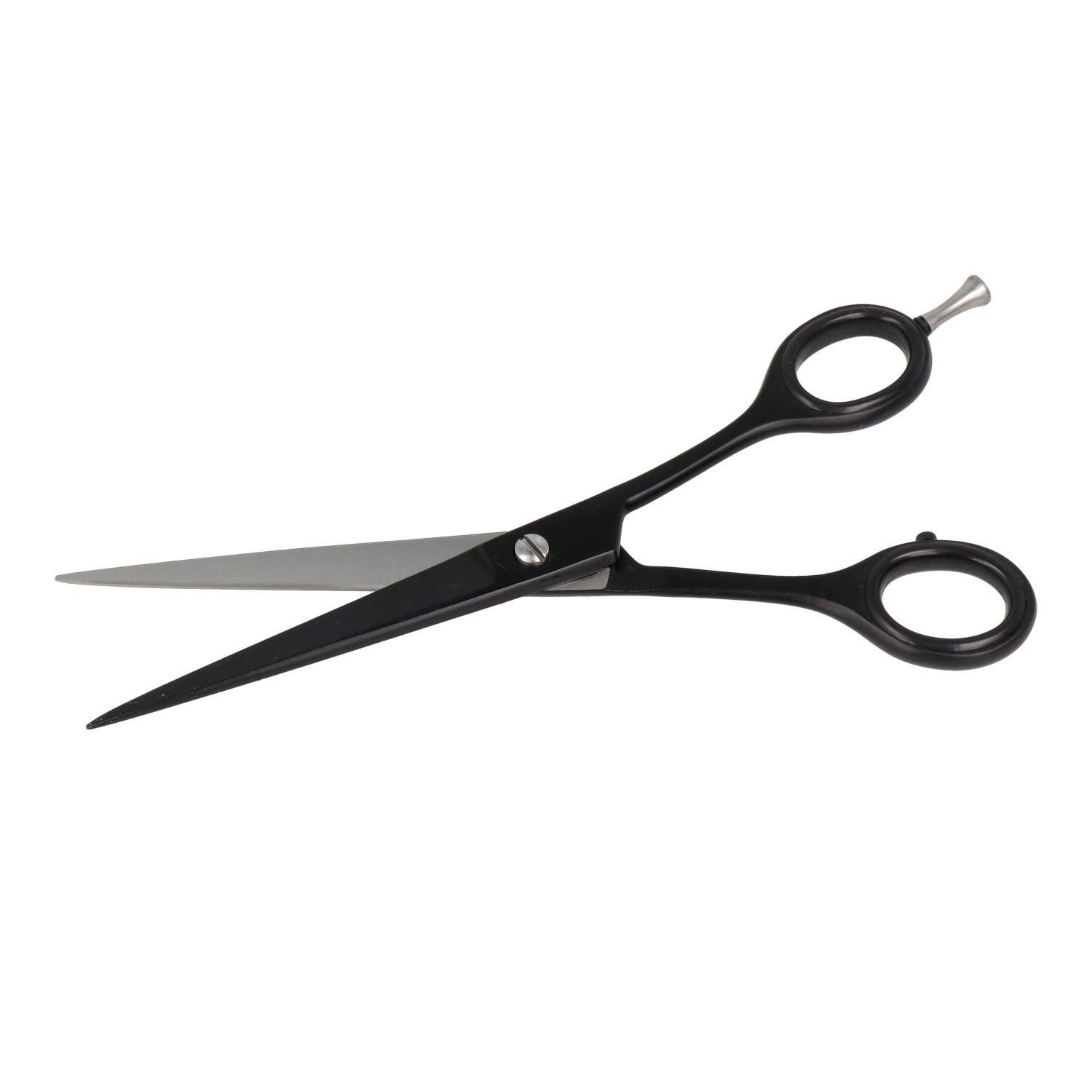 Zenish Forbice Professionale Metal Nero 7"