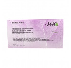 Dikson Everygreen Cheveux Abîmés Booster Traitement 18 X 10 ml