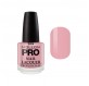 Mollon Pro Hardening Nail Lacquer 15 Ml 209