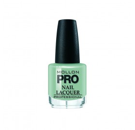 Mollon Pro Hardening Nail Lacquer 15 Ml 280