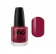 Mollon Pro Hardening Nail Lacquer Color 010 15ml
