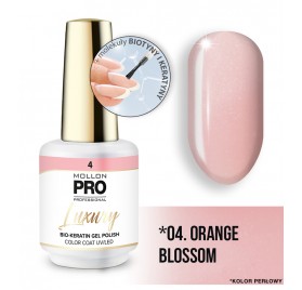 Mollon Pro Luxury Color Coat 4 8ml