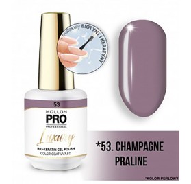 Manteau de couleur de luxe Mollon Pro 8 Ml 53