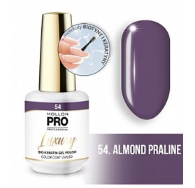 Manteau de couleur de luxe Mollon Pro 8 Ml 54