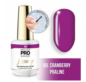 Mollon Pro Luxury Color Coat 60 8ml