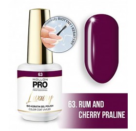 Mollon Pro Luxury Color Coat 63 8ml