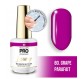 Mollon Pro Luxury Color Coat 80 8ml