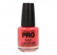 Mollon Pro Hardening Nail Lacquer Color 212 15ml