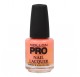 Mollon Pro Hardening Nail Lacquer Color 056 15ml