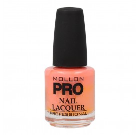 Mollon Pro Hardening Nail Lacquer 15 Ml 056