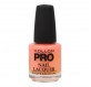 Mollon Pro Hardening Nail Lacquer 15 Ml 056