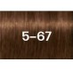Schwarzkopf Igora Zero Amm 5-67 Castaño Claro Chocolate Cobrizo 60 ml