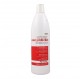 Dikson Promaster Argan Color Protective Champú 1000 ml