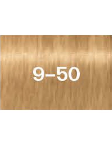 Schwarzkopf Igora Zero Amm 9-50 Very Light Golden Blonde Natural 60 ml