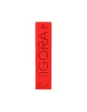 Schwarzkopf Igora Royal Color 8,19 60 ml