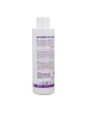 Hairconcept Color Service Silver Champú 300 ml