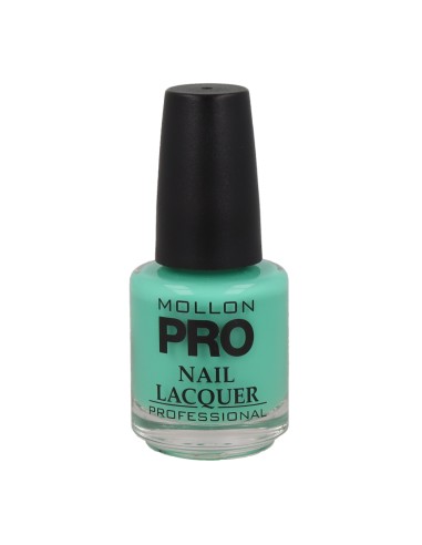 Mollon Pro Hardening Nail Lacquer Color 366 15 ml