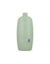 Alfaparf Semi Di Lino Scalp Renew Purifying Shampooing 1000 ml