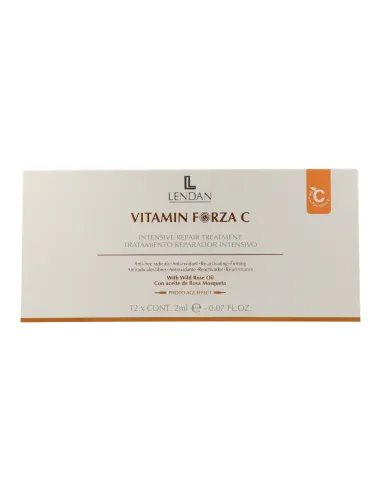 Fiale per il viso Lendan Vitamina Forza C 12X2Ml