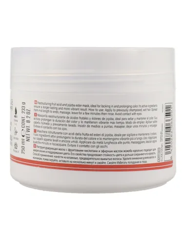 Salerm Hair Lab Lasting Color Mask 250 ml