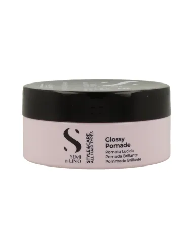 ALFA SDL STYLE&CARE GLOSSY POMADE 90ML