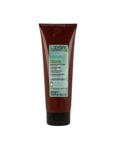 Masque Élastifiant Dikson Everygreen pour Cheveux Bouclés 250 ml