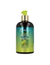 Mielle Avocado and Tamanu Anti Frizz Conditioner 355ml