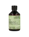 Dikson Every Green Champú Anti-Frizz 250ml