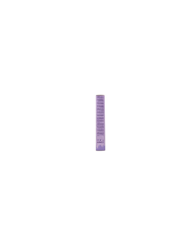 Saga Nysha Color Pro 100 ml Colore 10.0