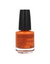 Verniz para unhas endurecedor Mollon Pro 15 ml 184