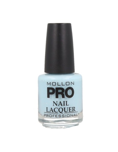 Mollon Pro Hardening Nail Lacquer Color 340 15ml