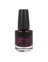 Verniz para unhas endurecedor Mollon Pro 15 ml 304